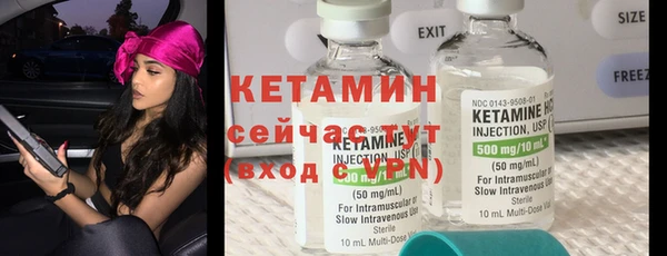 крисы Алексин