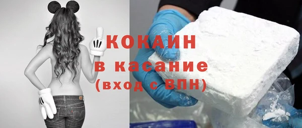 spice Алзамай