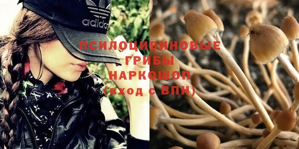 spice Алзамай