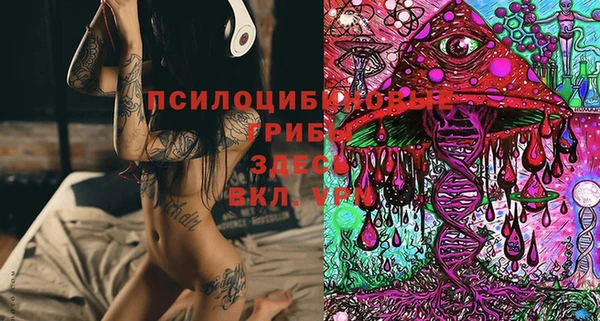 mdpv Майский