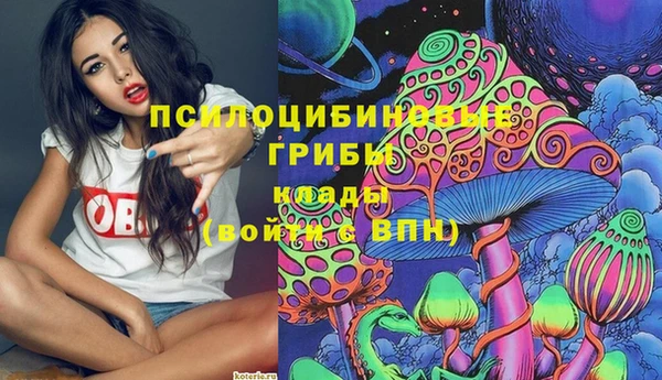 крисы Алексин
