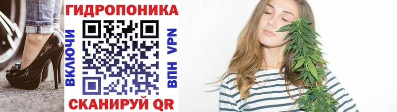 наркошоп  Чебоксары  Канабис план 